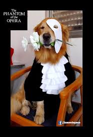 Our Friend Joao As The Phantom Of The Opera Https Www Facebook Com Joaoedayana Phantom Of The Opera Music Of The Night Phantom