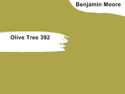 31 Best Olive Green Paint Colors For 2025