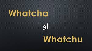 تعلم اللغة الانجليزية ما معنى كلمة Whatcha Youtube