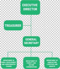 Organizational Chart Non Governmental Organisation