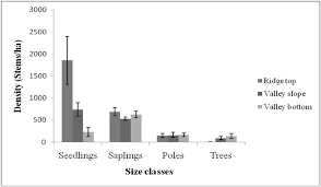 Image result for Dichapetalum stuhlmannii