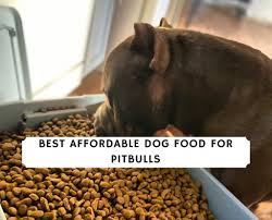 From pitbull puppies to seniors to pits with sensitive stomach and skin allergies…this is. Best Affordable Dog Food For Pitbulls Top 7 Picks 2021 We Love Doodles