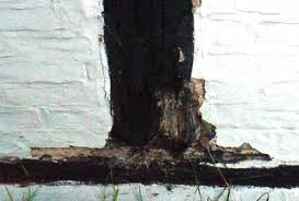 Step by step instruction to make cardboard hard like wood. Wood Hardener Liquid And Epoxy Wood Filler For Repairing Wood Window Cills And Frames
