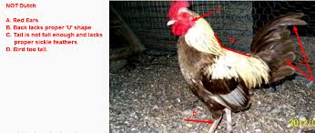 Image result for intext:"powered by ubb" sickle