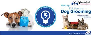 Doggy daycares seem like the perfect franchise opportunity when you are looking for a way to secure your future by owning a business. Is Doggy Daycare A Lucrative Franchise Opportunity