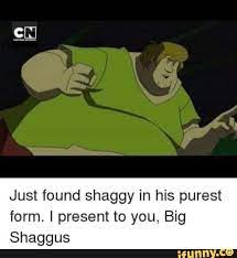 Pin On Funny Scooby Doo Memes