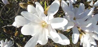 Obituary for John T Bykowski