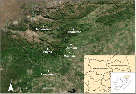 Image result for Oxygonum dregeanum