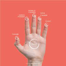 Contoh penggunaan untuk jari telunjuk di bahasa inggris. Hayooo Siapa Yang Masih Belum Tau Wall Street English Facebook