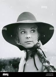 Allié hi-res stock photography and images