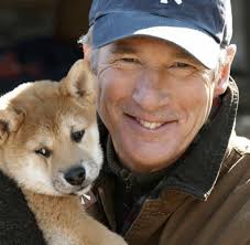 Richard gere news, gossip, photos of richard gere, biography, richard gere girlfriend list 2016. Tierfilm In Hachiko Ist Der Hund Susser Als Richard Gere Welt