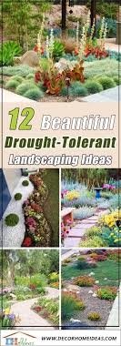 In a yard that's mostly sunny, rockrose is an excellent choice that requires almost no care. 12 Best Drought Tolerant Landscaping Ideas For 2021 Decor Home Ideas