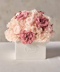 Also, in the long run, it may yield to fungal infection, then death. Venus Et Fleur S New Launch Is More Ethereal Than Ever Dujour