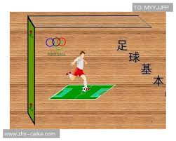 足球课视频分享：提升技巧与战术理解的最佳学习资源| 彩客网足彩 ...