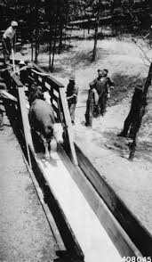 Image result for dip vat