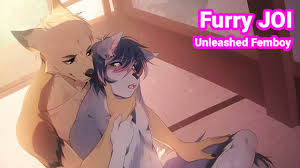 Furry JOI Unleashed Femboy 