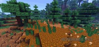 Zebra shaders are very suitable for you to use when playing survival or creative. Eb Shader Android Ios 1 16 100 To 1 17 0 52 Minecraft Pe Texture Packs
