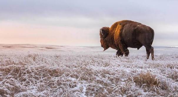 Why Visit Badlands National Park? | 3 Must-See Highlights