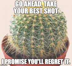 Although the gas masks with respirators protected the respiratory tract and eyes of the troops against chemical attacks, mustard gas was still able to burn and blister even through clothing. How Do Plants Defend Themselves Science Abc