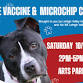 FREE Vaccine & Microchipping Pop Up! — Lehigh Valley Humane Society