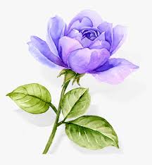 Set of watercolor flower and leaf for greeting and invitation card decoration. Transparent Rose Flowers Png Transparent Purple Watercolor Flowers Png Download Transparent Png Image Pngitem