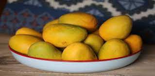 Un Perro Puede Comer Mango Descubre Todos Los Beneficios Para Tu Canino Blog De Animales