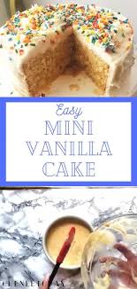 Easy Mini Vanilla Cake Recipe Perfect For Two Chenee Today Video Recipe Video In 2020 Mini Vanilla Cake Recipe Easy Vanilla Cake Recipe Easy Vanilla Cake