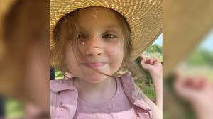 Rett Syndrome: Somerset mum's 'survival mode' as girl regressed