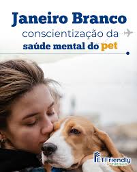 🐶 Amy! Brasil 🇧🇷 ➔ E.U.A 🇺🇸 Aventura Transcontinental com Amy: Uma  Jornada de Amor e Confiança! ✈❤ Essa princesa SRD (vira lata) é a Amy!  Prestes a completar 4 aninhos de
