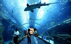 Get complete information including history, pictures, best time to visit, recommended hours, address and much more. Langkawi Underwater World Admission Ticket