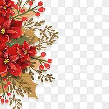 Poinsettia Christmas Border In 2020 Flower Illustration Christmas Border Poinsettia Flower