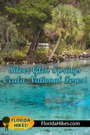 Please direct inquiries to silver springs state park camping reservations at. Silver Glen Springs Ocala National Forest Florida Hikes