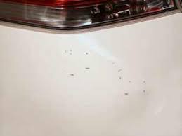 See special promotions · fast shipping · top customer service Repair Minor Car Paint Scratches And Chips With Touch Up Pen