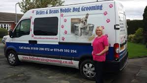 This service helps manage /prevent matting and dread locking (dirt and oil mixed with undercoat) and cleans up your dog's face, feet and sanitary area, after which we will clip your dog's coat to a style of your. Now Trading Belles Beaus Mobile Dog Grooming Find Me On Face Book Dog Grooming Dog Groomers Mobile Pet Grooming