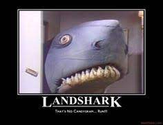 Snl landshark pictures to create snl landshark ecards, custom profiles, blogs, wall posts, and snl landshark scrapbooks, page 1 of 9. 68 Saturday Night Live Ideas Saturday Night Live Comedians Saturday Night