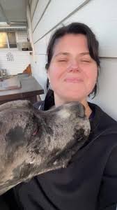 Big Slobbery Great Dane Kisses