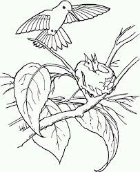 Hummingbird animal coloring pages christmas baby names coloring books print animals color. Hummingbird Feed Juniors Coloring Page Kids Play Color Horse Coloring Pages Hummingbird Coloring Pages Nature Coloring Pages
