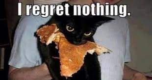 I Regret Nothing Cat Meme Of The Decade Lol Cat Memes Funny Cats Funny Cat Pictures With Words On Them Funny Pictures Lol Cat Memes Lol Cats