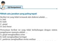 Check spelling or type a new query. Jawaban Buku Ipa Kelas 9 Uji Kompetensi Bab 7 Hal 90 93 Produk Berikut Yang Dibuat Dengan Jagotutorial