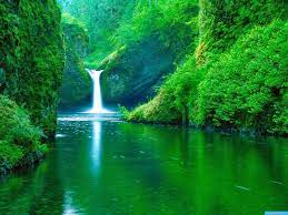 Download our free software and turn videos into your desktop wallpaper! Latest Nature Wallpapers Free Download Group 82