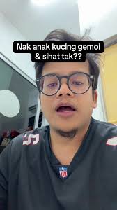 So far yang ni susu terbaik untuk anak kucing #lipurdesa #susukucing  #midalac