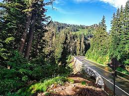 Бизнес в вашингтоне учёба в. 10 Luchshih Zanyatij V Uenatchi Shtat Vashington Sovety Puteshestvennikam