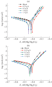 Image result for Endostemon tereticaulis