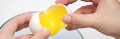 Resultado de imagem para Separando a gema da clara