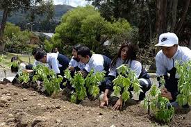 El proceso de deforestación ocurrido en la región oriental del paraguay muestra que en 40 años, comprendidos entre 1.945 y 1.985, ha llegado a eliminar 4.916.452 hectáreas, lo. Recibe Ecuador Fondo Para Accion Ambiental Por Reducir Deforestacion Filac Fondo Para El Desarrollo De Los Pueblos Indigenas De America Latina Y El Caribe