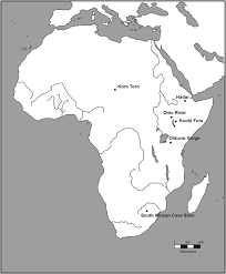 Image result for Pycreus fluminalis