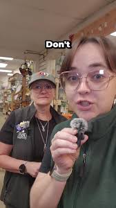 Hummingbird Migration Tips for Fall Birdwatching