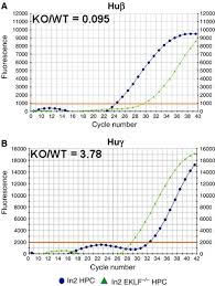 Quantitative real-time RT–PCR of ln2 HPC and ln2 EKLF−/− HPC....