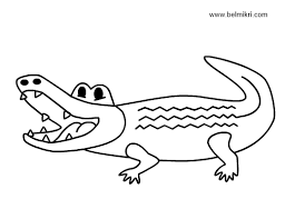 Check spelling or type a new query. Crocodile Alligator Coloring Pages Cartoon Coloring Pages Butterfly Coloring Page Free Coloring Pages