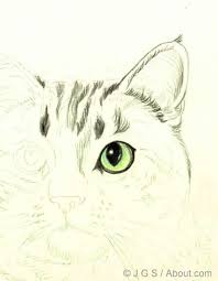 100 Tutorials To Teach You How To Draw Color Pencil Drawing Animal Drawings Drawings
